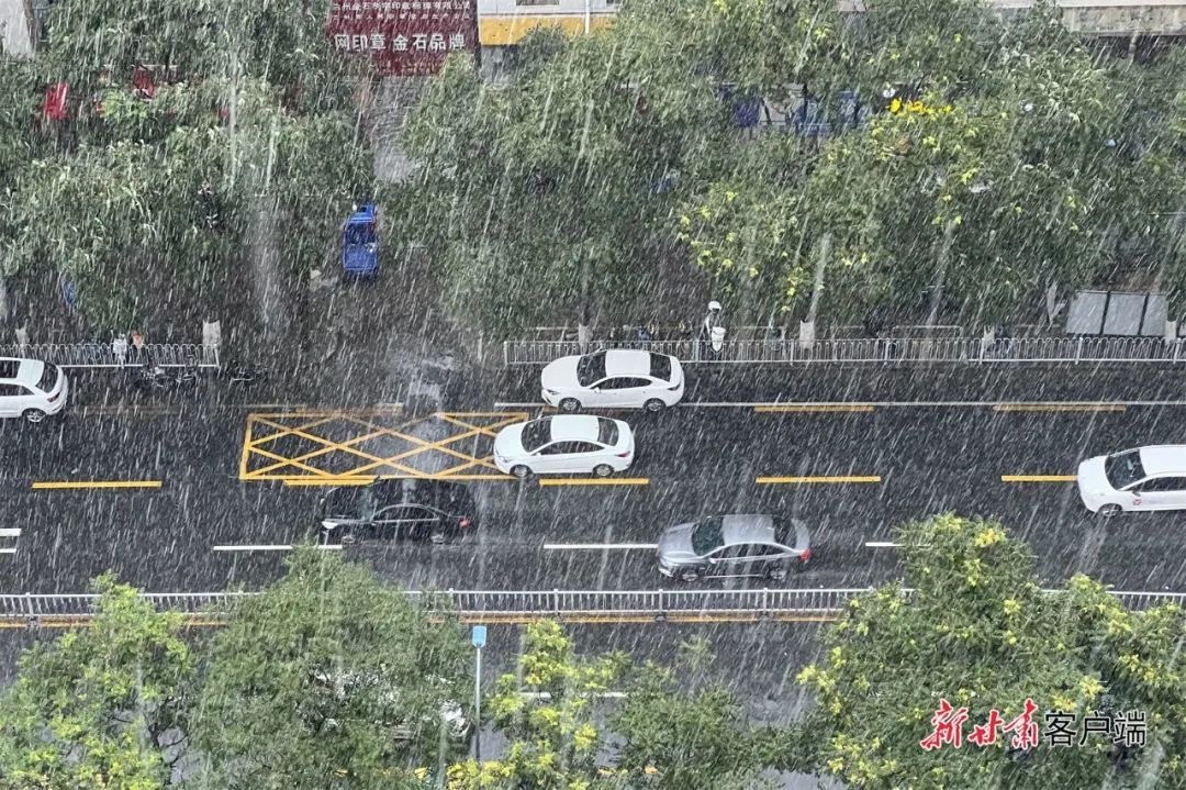 第895页