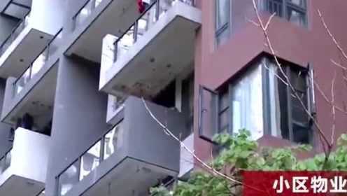 港澳新闻 第21页
